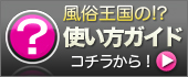 使い方ガイド