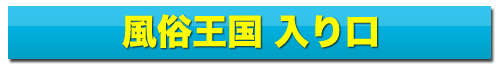 風俗王国入り口